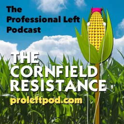 The Professional Left Podcast with Driftglass and Blue Gal artwork