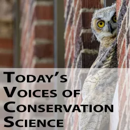 Today's Voices of Conservation Science Podcast artwork