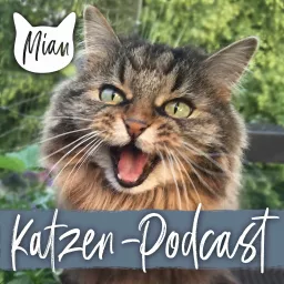 Miau Katzen-Podcast - das Original seit 2017 artwork