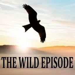 The Wild Episode Podcast artwork