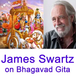James Swartz - Vedanta Talks on the Bhagavad Gita Podcast artwork