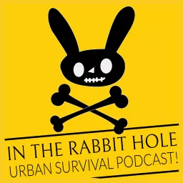 In The Rabbit Hole Podcast artwork