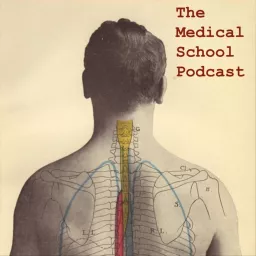 The Medical School Podcast artwork