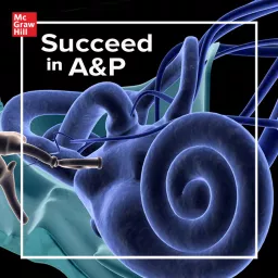 Succeed In A&P Podcast artwork