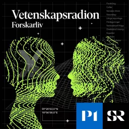 Vetenskapsradion Forskarliv