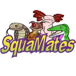 SquaMates Podcast artwork