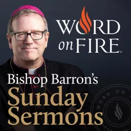Bishop Barron’s Sunday Sermons - Catholic Preaching and Homilies Podcast artwork