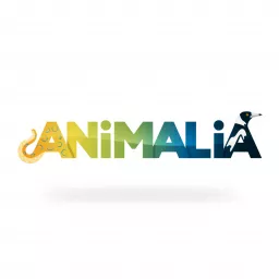 Animalia Podcast artwork