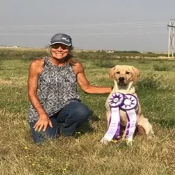 Training the Pointing Labrador