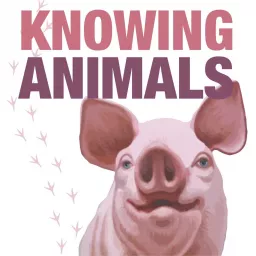 Knowing Animals Podcast artwork