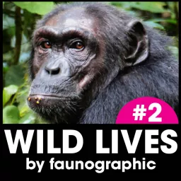 WILD LIVES Podcast artwork
