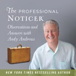 The Professional Noticer Podcast artwork