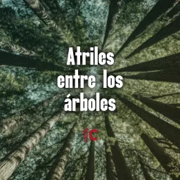 Atriles entre los árboles