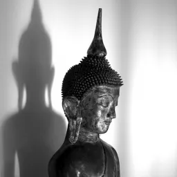 Insight Meditation Society - Forest Refuge: dharma talks and meditation instruction Podcast artwork