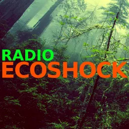 The RADIO ECOSHOCK Show Podcast artwork
