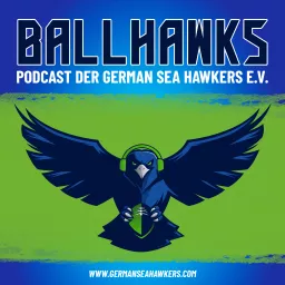 Ballhawks – Podcast der German Sea Hawkers e.V. artwork