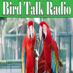 Bird Talk Radio Podcast artwork