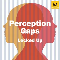 Perception Gaps Podcast artwork