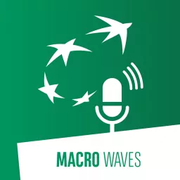 Macro Waves Podcast artwork