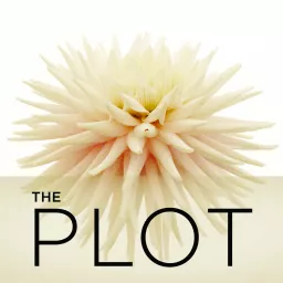 The Plot Podcast artwork