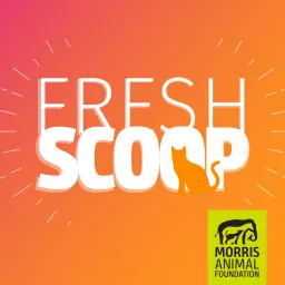 Fresh Scoop Podcast artwork