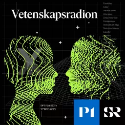 Vetenskapsradion Podcast artwork