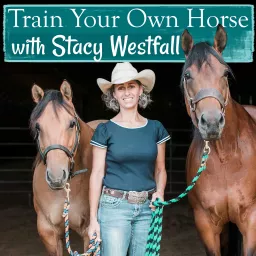 Train Your Own Horse with Stacy Westfall Podcast artwork