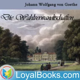 Die Wahlverwandtschaften by Johann Wolfgang von Goethe