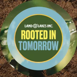 Rooted In Tomorrow Podcast artwork