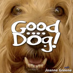Good Dog! Podcast artwork