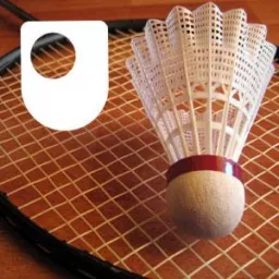 Badminton: Fitness and Training - for iPod/iPhone Podcast artwork