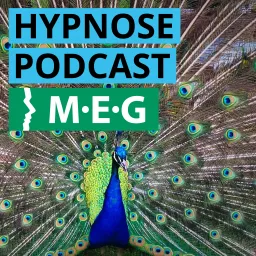 Der Hypnose Podcast der Milton H. Erickson Gesellschaft artwork