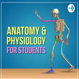 Anatomy & Physiology For Students Podcast artwork