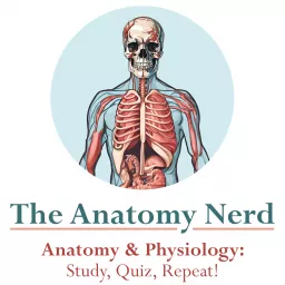 Anatomy & Physiology For Students Podcast artwork