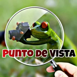 Punto de Vista Podcast artwork