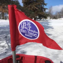 The Mr. Pole Jangles' Big Disc Show - a podcast celebrating disc golf