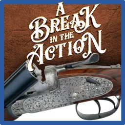 A Break in the Action Podcast artwork