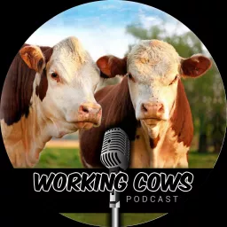 Working Cows Podcast artwork