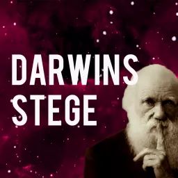 Darwins Stege