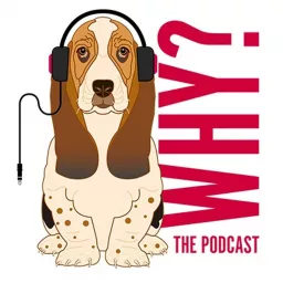 Why? The Podcast artwork