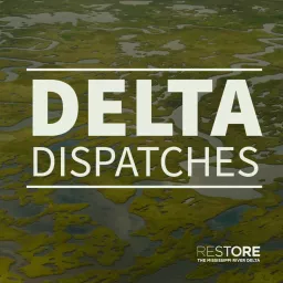 Delta Dispatches Podcast artwork
