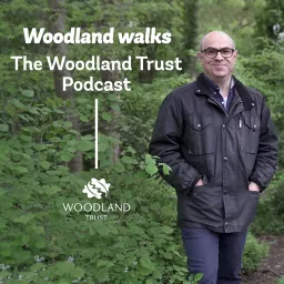Woodland Walks - The Woodland Trust Podcast artwork