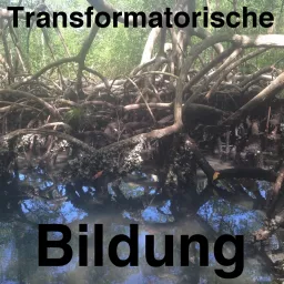 Transformatorische Bildung