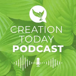 Creation Today Podcast artwork