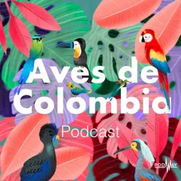 Aves de Colombia Podcast artwork