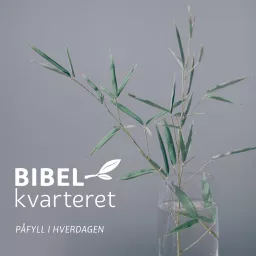Bibelkvarteret Podcast artwork