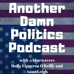 Another Damn Politics Podcast artwork