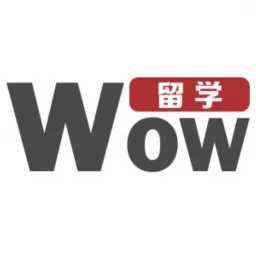 小wow专访 Podcast artwork