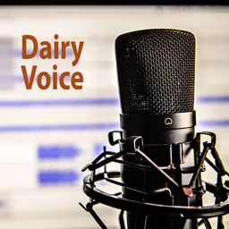 DairyVoice Podcast artwork