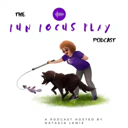 The Fun | Focus | Play Podcast artwork